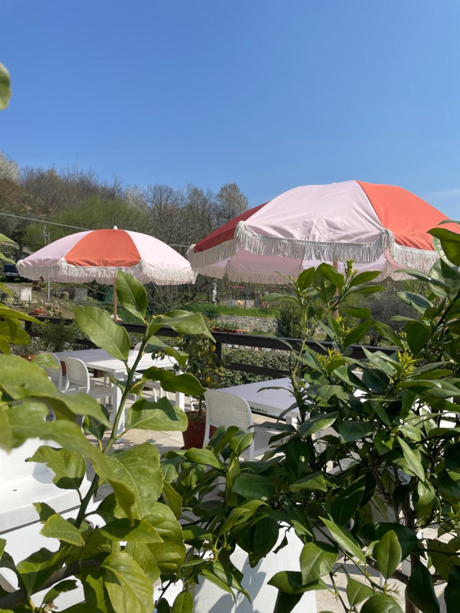 Hostal Bb10 Oasi Arona Exterior foto